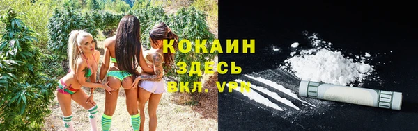 соль ск Михайловск