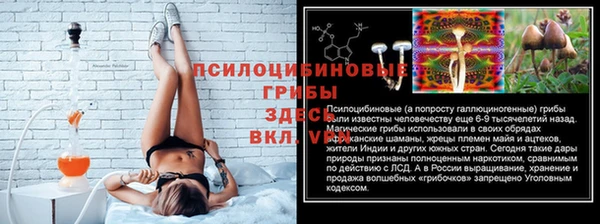 соль ск Михайловск